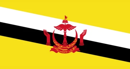 Brunei flag: Yellow field with a black and white diagonal stripe. The national emblem, featuring a red shield with a crescent and a parasol, is displayed in the center.