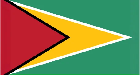 Flag of Guyana: A green field with a red isosceles triangle on the left, bordered by a narrow white stripe and a wider golden stripe, with a black outline.