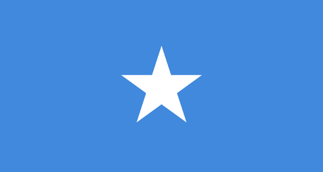The flag of Somalia features a light blue field with a white five-pointed star in the center. The blue represents the sky and the Indian Ocean, while the white star symbolizes Somali unity.