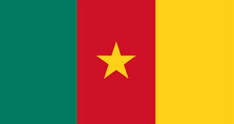 Country flag of Cameroon consists of green, red and yellow vertical colour blocks with a yellow star in the middle of the flag on the red colour block.