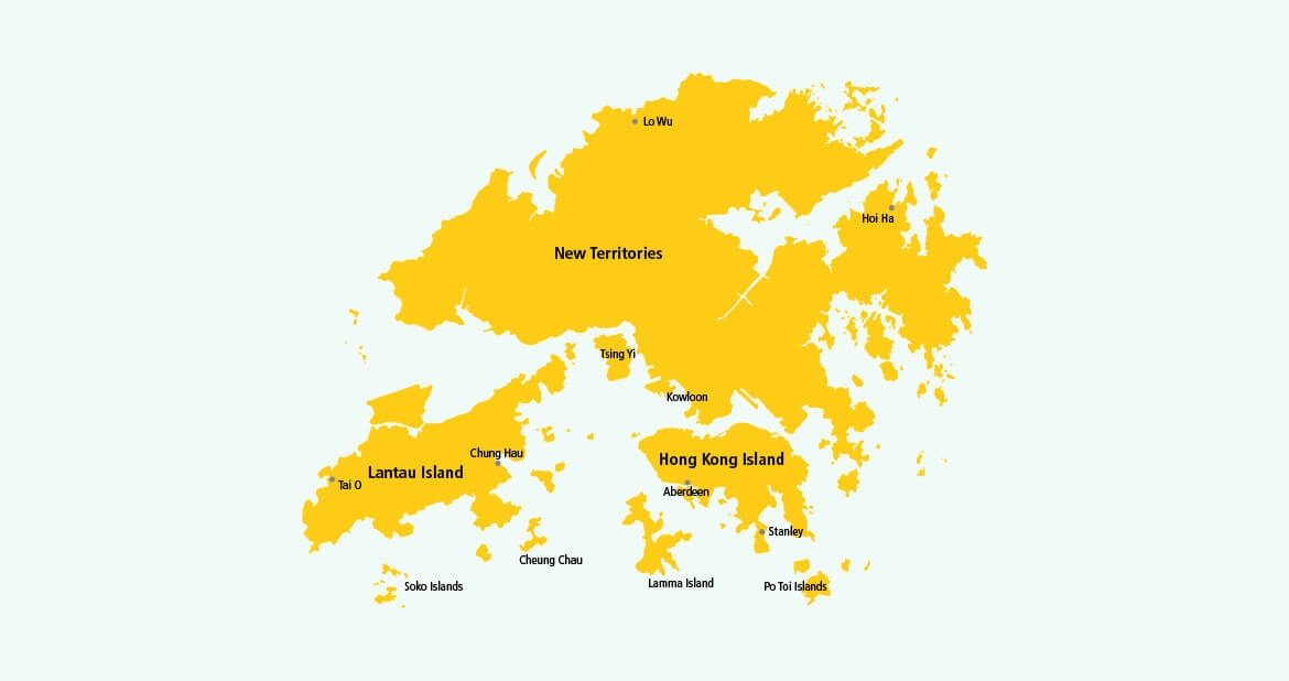 Parcel delivery to Hong Kong with DHL