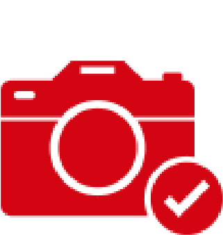 As an example, you can send cameras by DHL